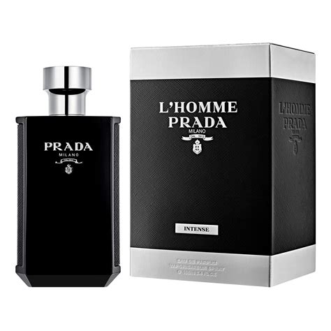 fragrantica prada l'homme.